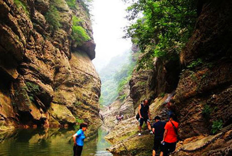 鄭州中巴車(chē)出租 鄭州中巴車(chē)出租